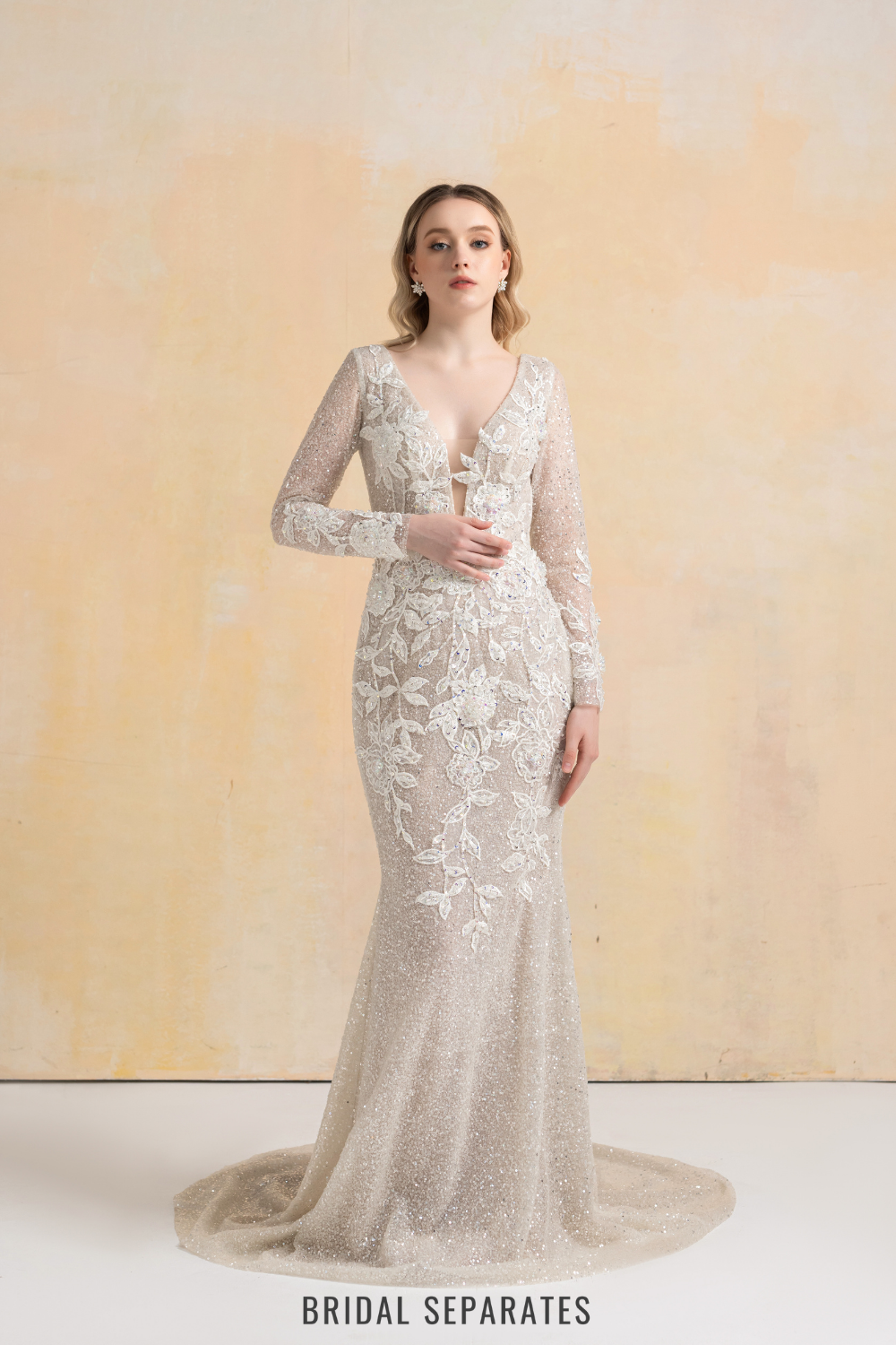 Beaded Lace Appliqué Wedding Dress / "Claudia"